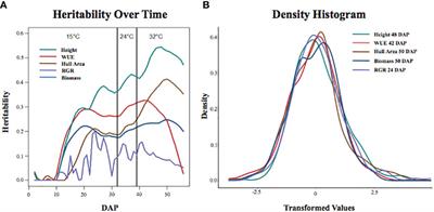 Longitudinal genome-wide association study reveals early QTL that predict biomass accumulation under cold stress in sorghum